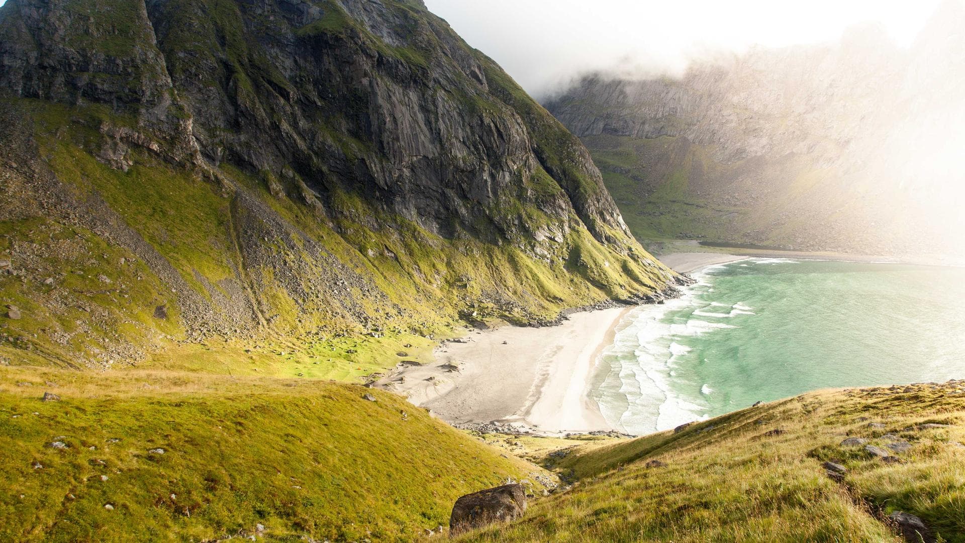 Abstract green background representing sustainability and data.